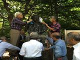 IMG_8362_R.JPG