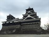 IMG_9955_R.JPG